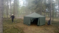 Mäkimartin Susku